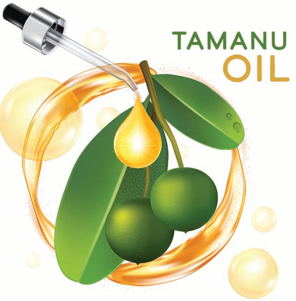 Skincare Benefits Tamanu Oil